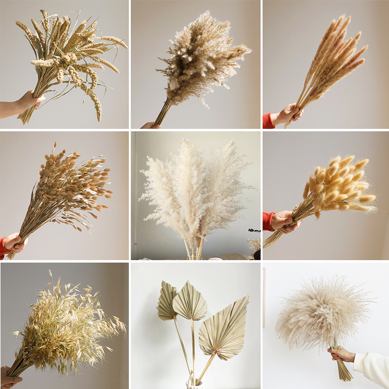 Baby Nursery Ornaments - Wabi-sabi gedroogde bloemen, natuurlijk riet, echte