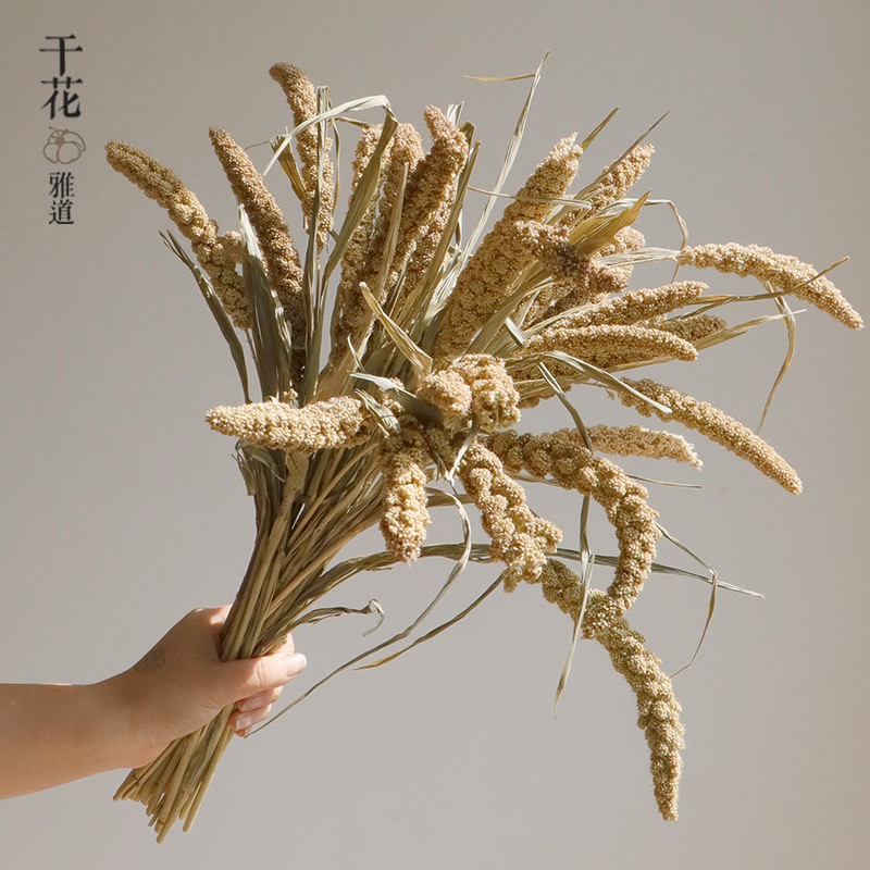 Wabi-sabi gedroogde bloemen, n - Baby Nursery Ornaments recensie en prijs