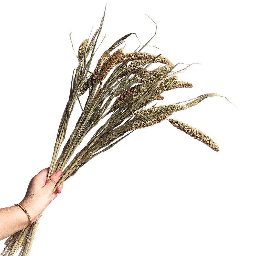Wabi-sabi gedroogde bloemen, n - Baby Nursery Ornaments recensie en prijs
