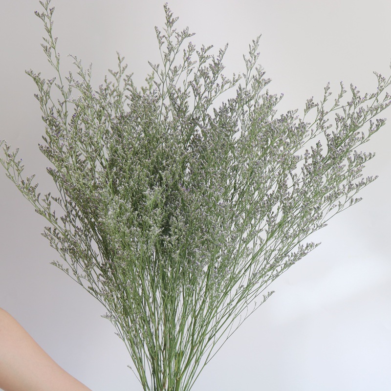 Wabi-sabi gedroogde bloemen, n - Baby Nursery Ornaments recensie en prijs